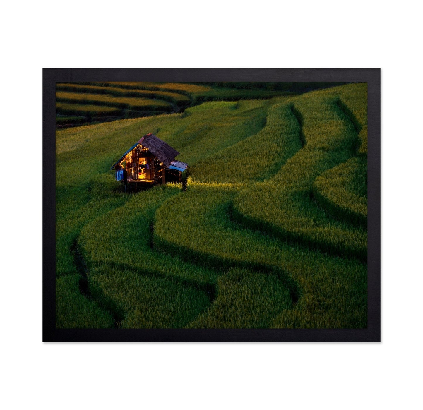 Golden Field Hut