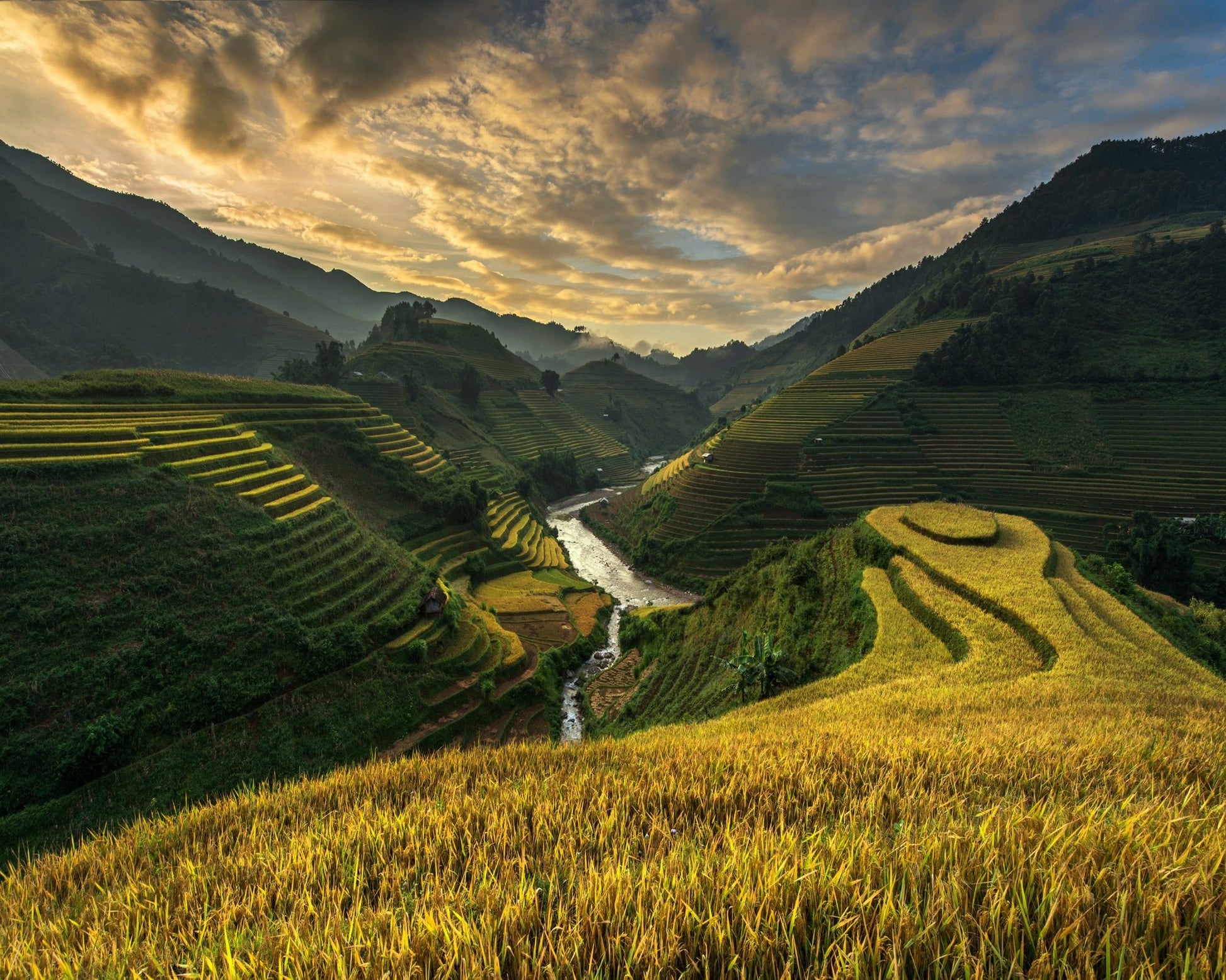 Golden Terraced Valley