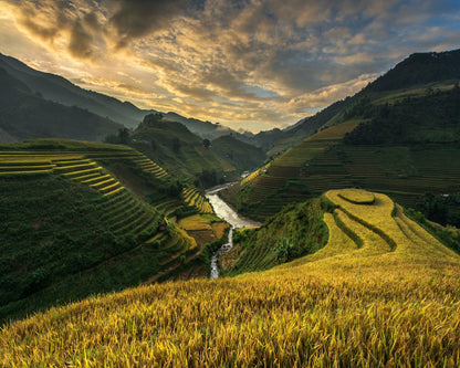 Golden Terraced Valley