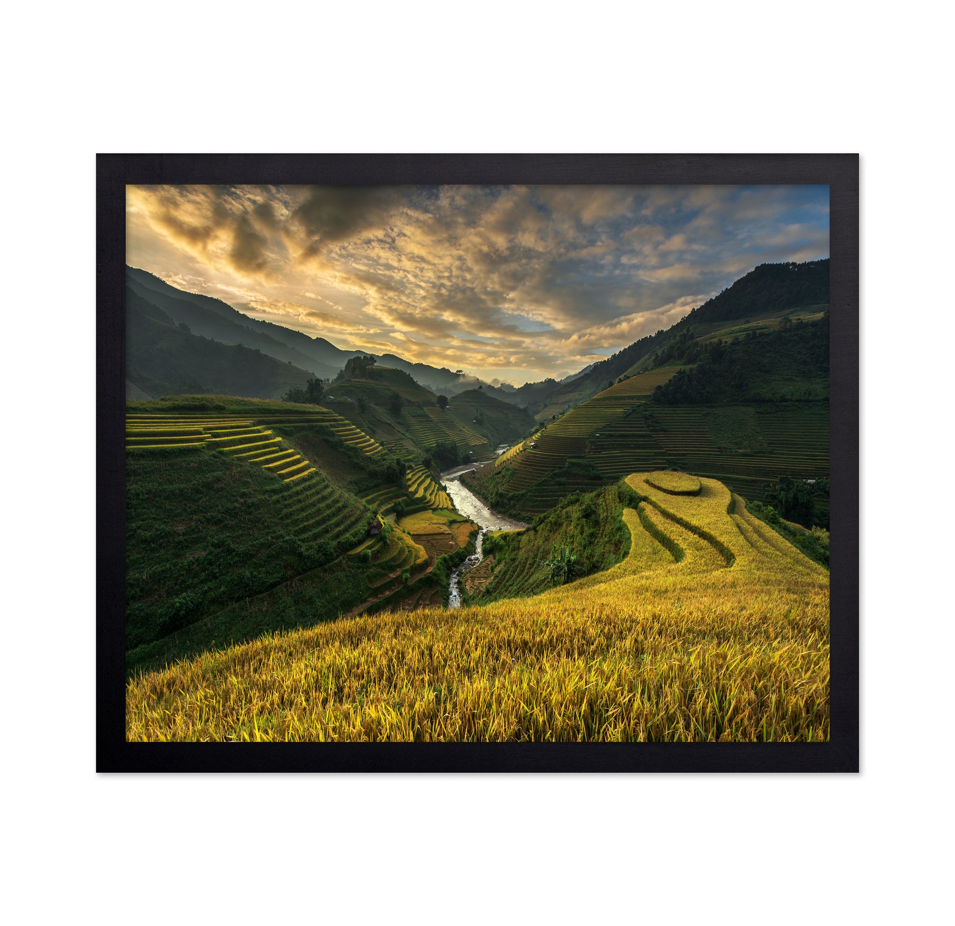 Golden Terraced Valley