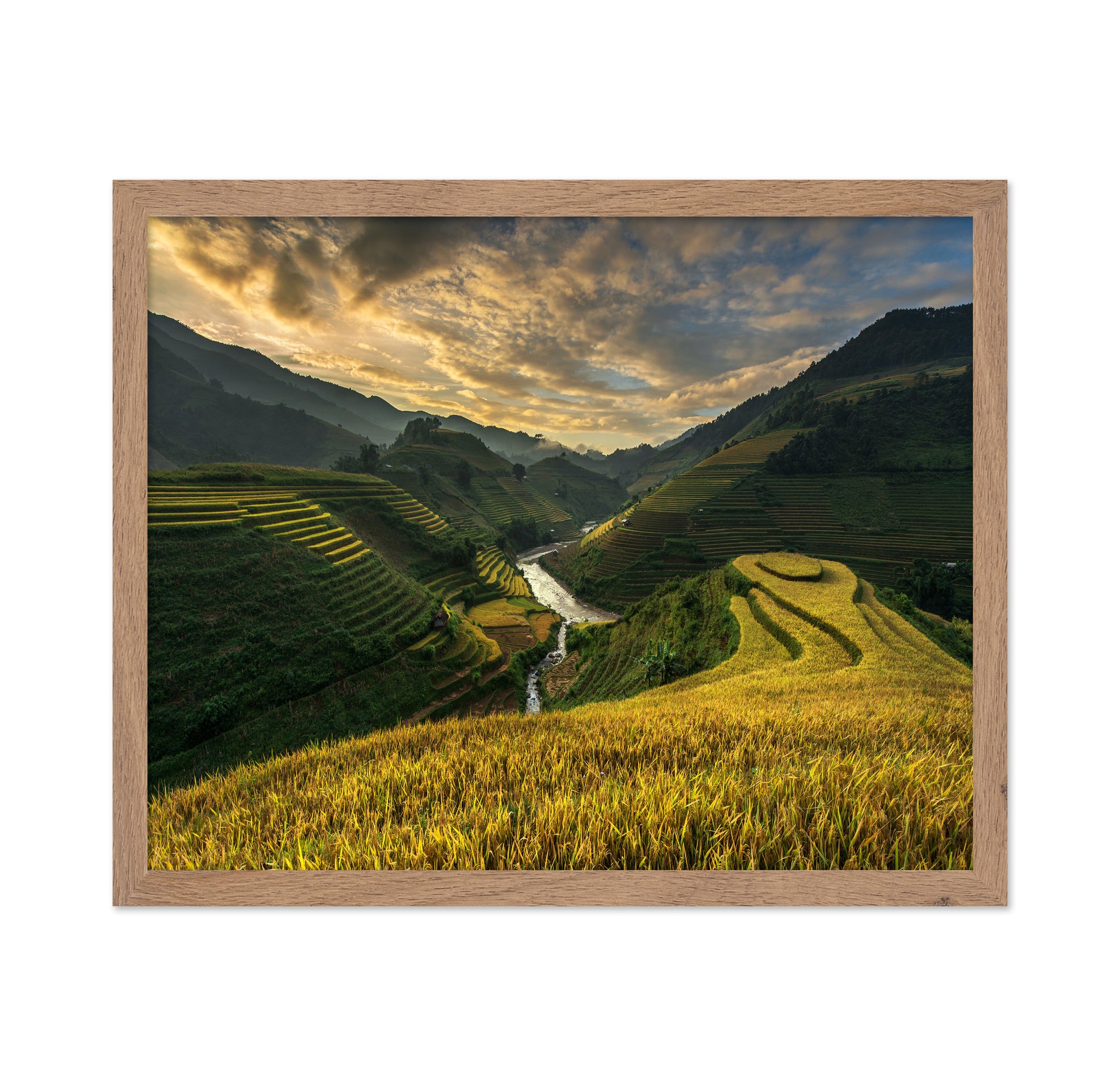 Golden Terraced Valley