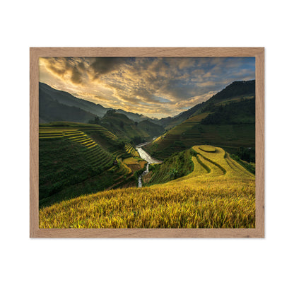 Golden Terraced Valley