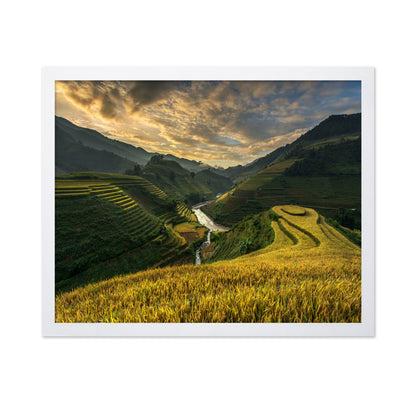 Golden Terraced Valley