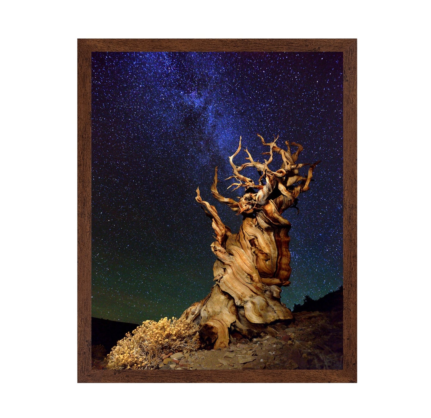 Ancient Tree Under Stars