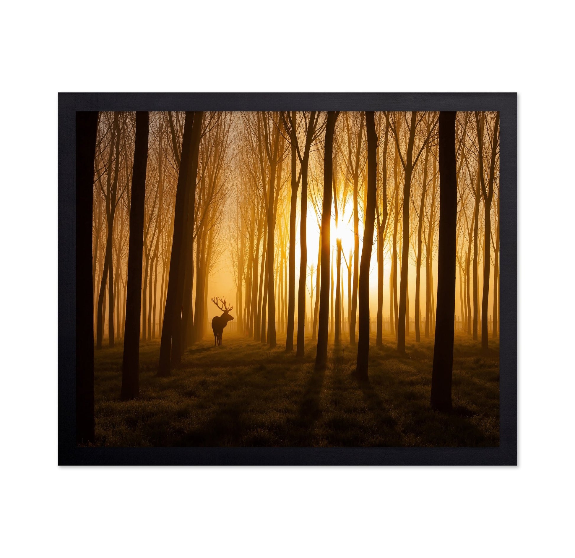 Deer in Golden Forest