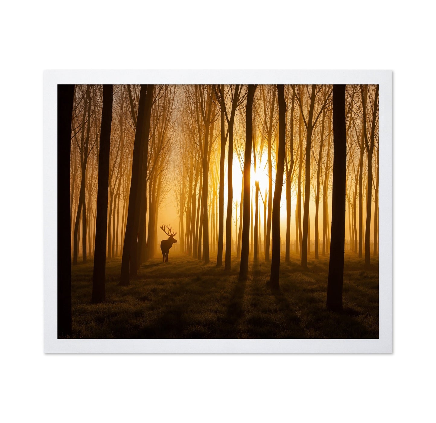 Deer in Golden Forest