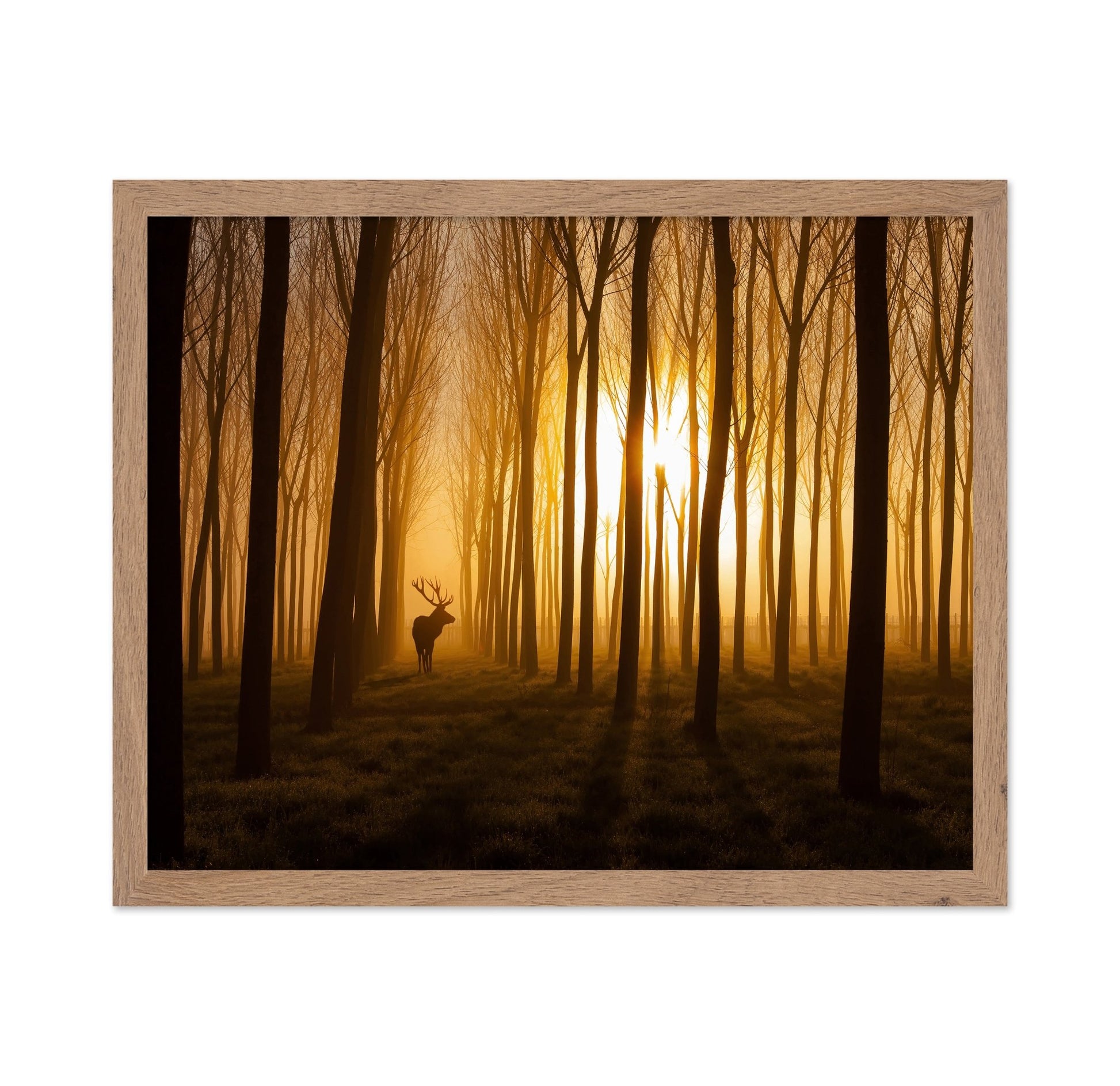 Deer in Golden Forest