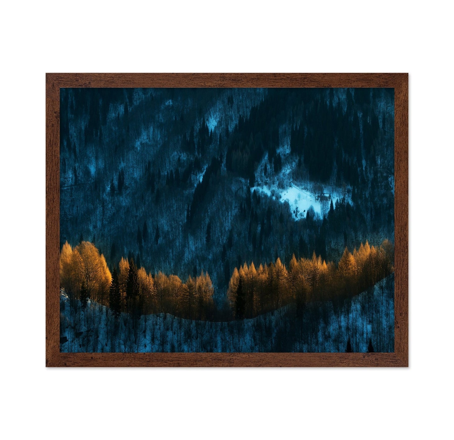 Golden Forest Glow