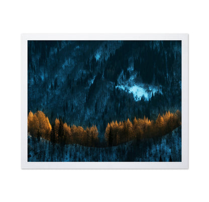 Golden Forest Glow