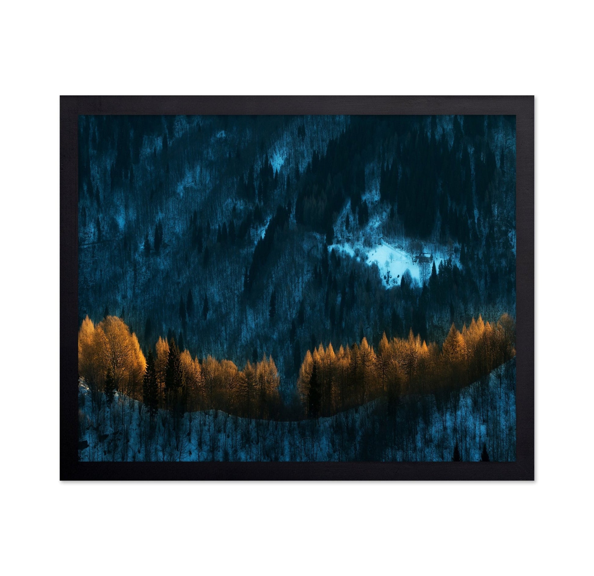 Golden Forest Glow