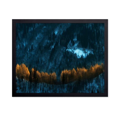 Golden Forest Glow
