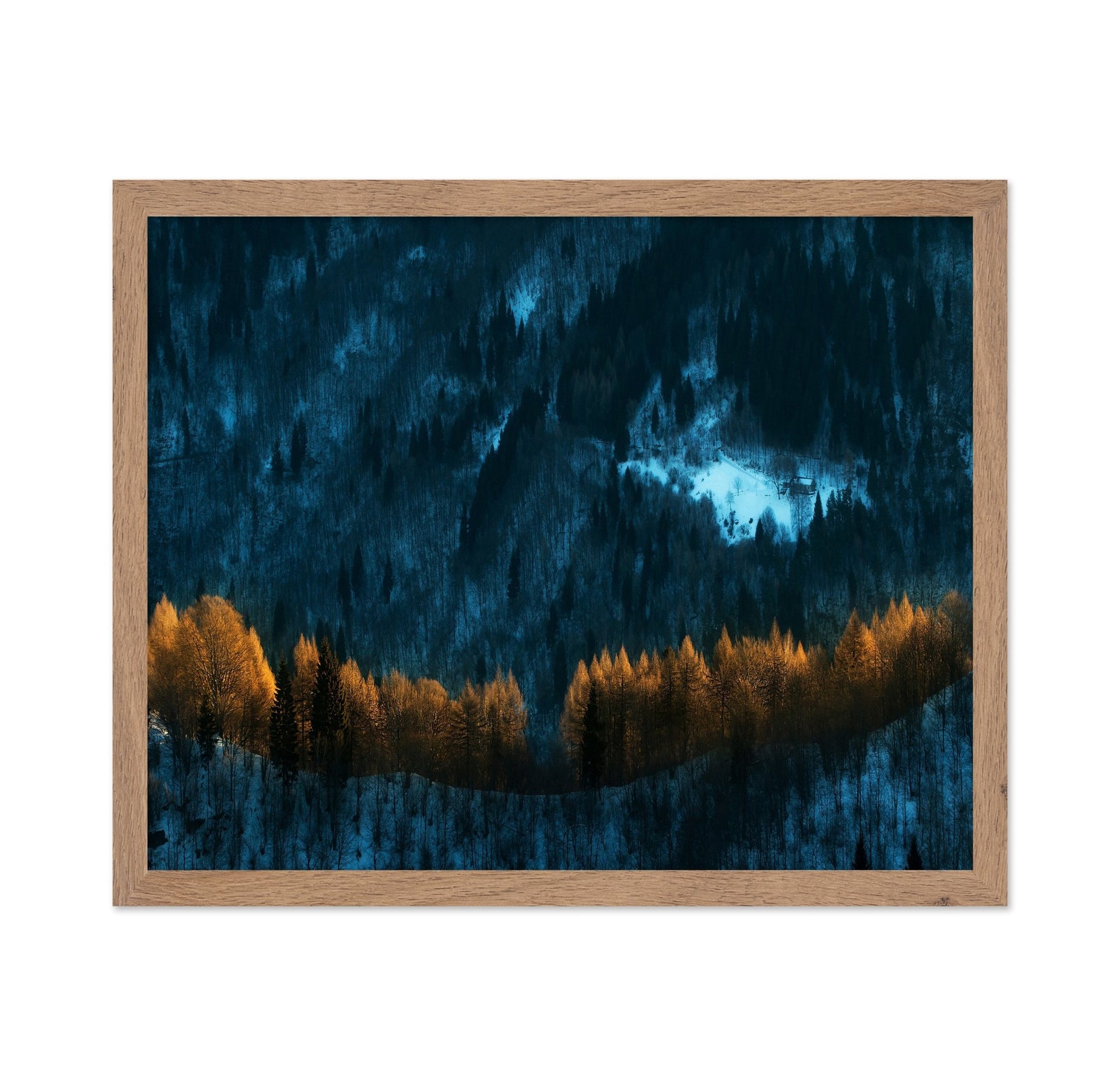 Golden Forest Glow
