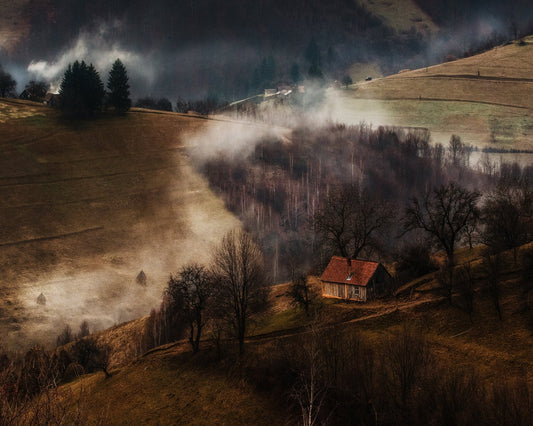 Misty Hillside Cabin