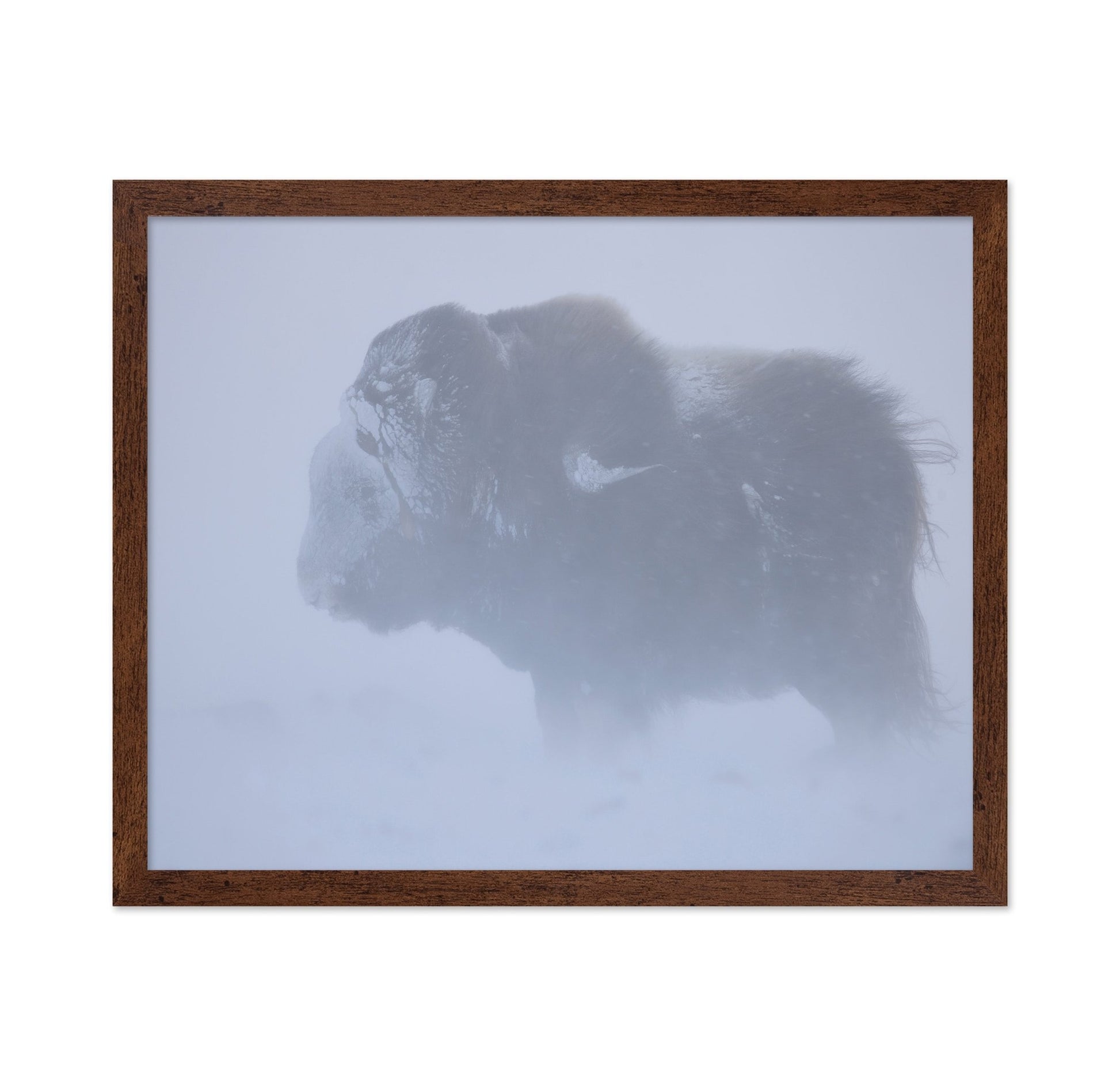 Snow Bison Silhouette
