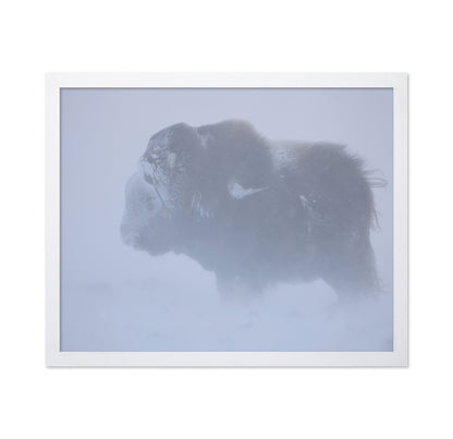 Snow Bison Silhouette