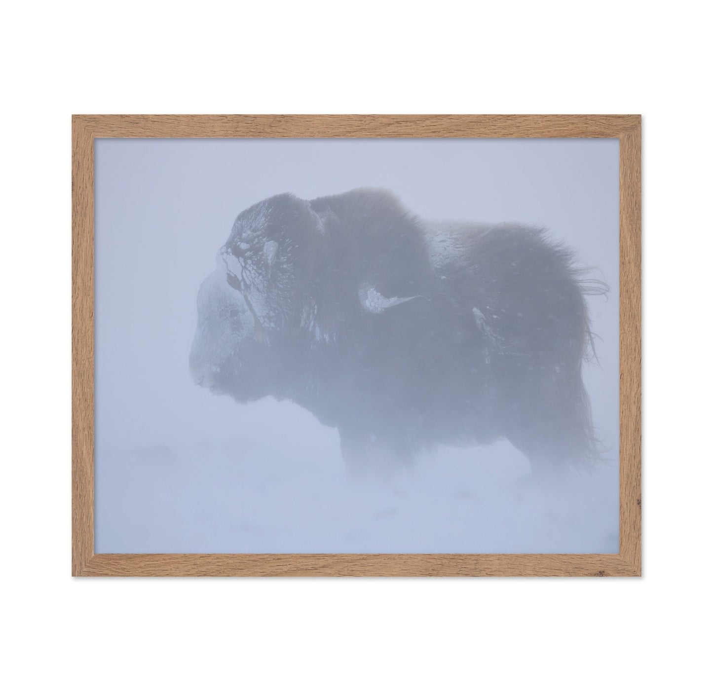 Snow Bison Silhouette