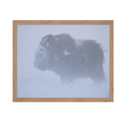 Snow Bison Silhouette