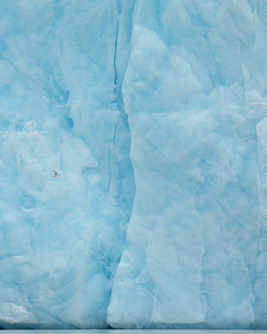 Ice Wall Flight