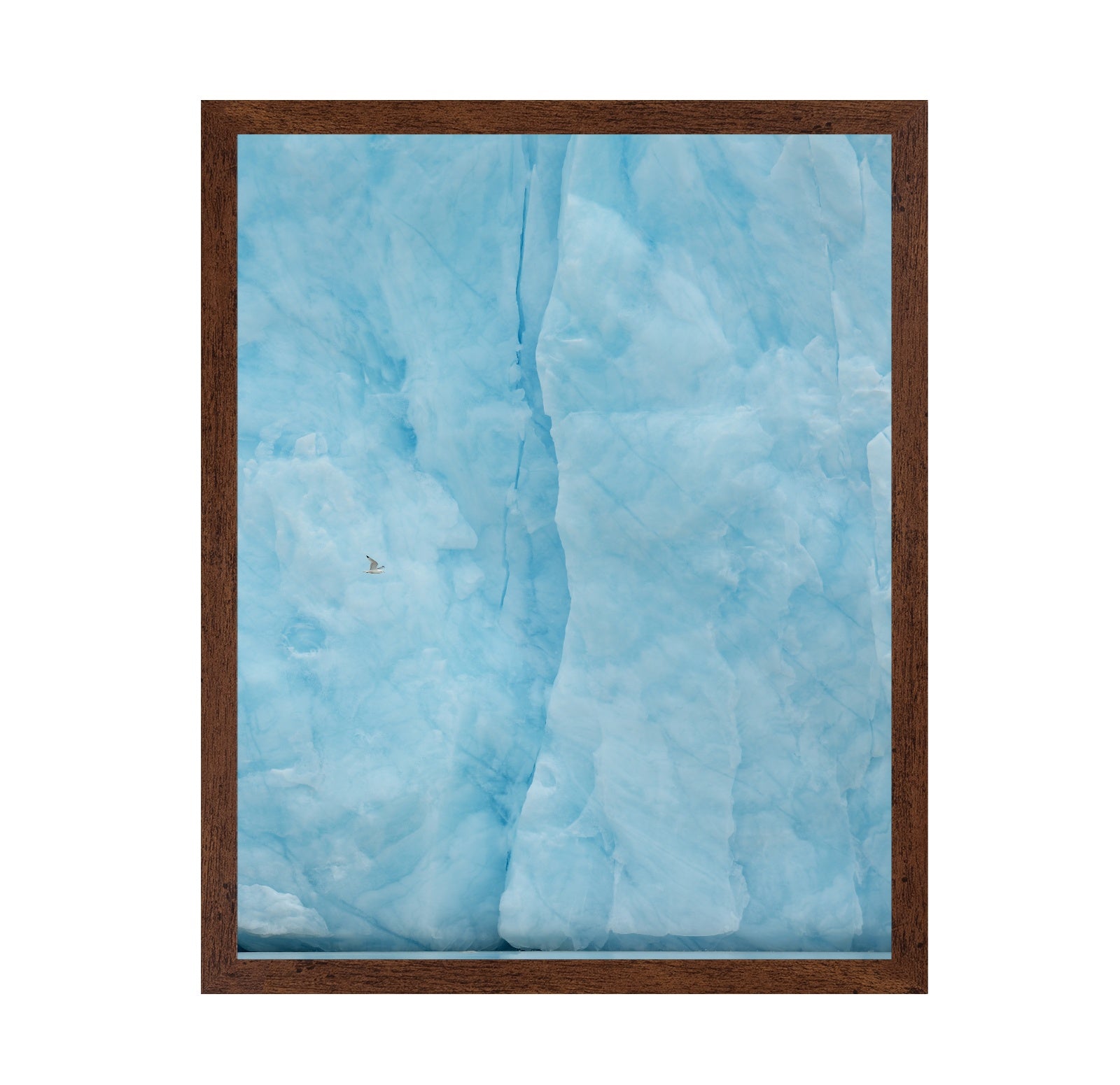 Ice Wall Flight