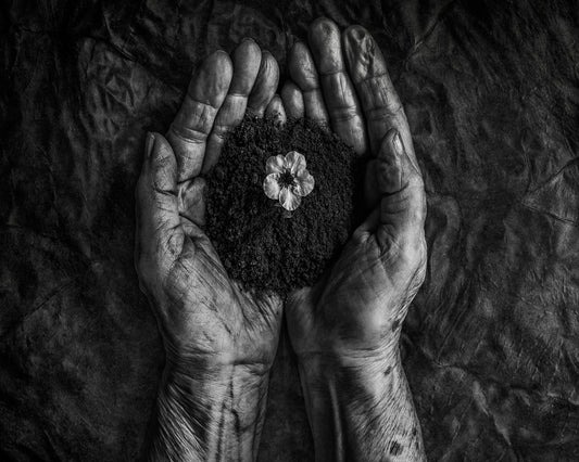 Hope In Soil