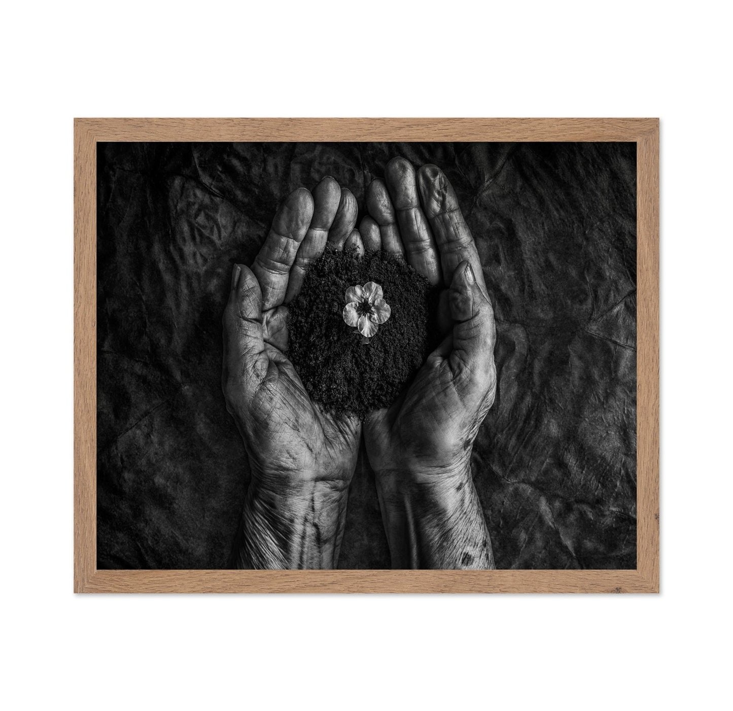Hope In Soil