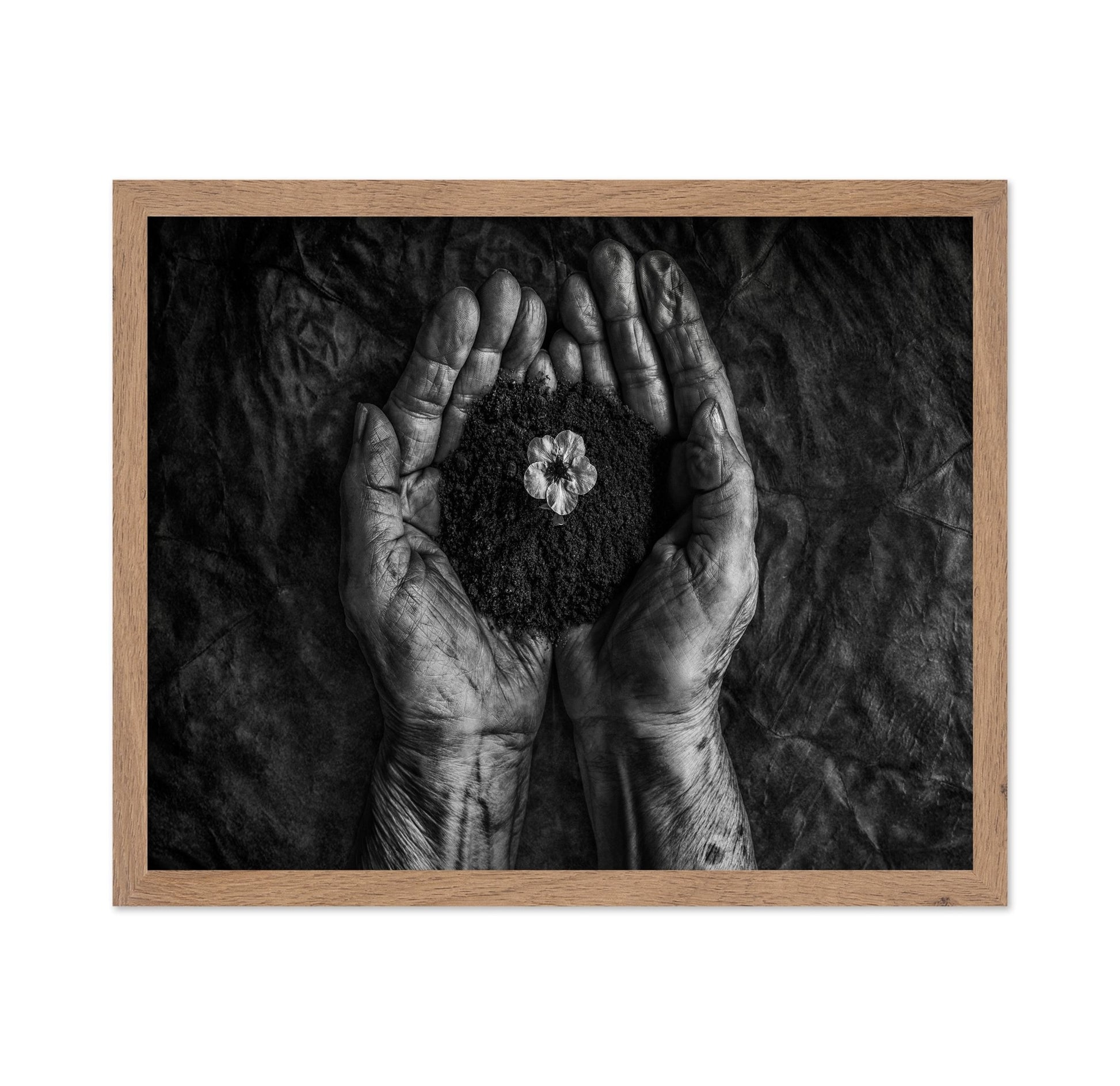Hope In Soil