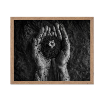 Hope In Soil