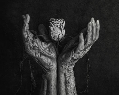 Aged Hands With Rose