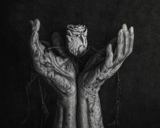 Aged Hands With Rose