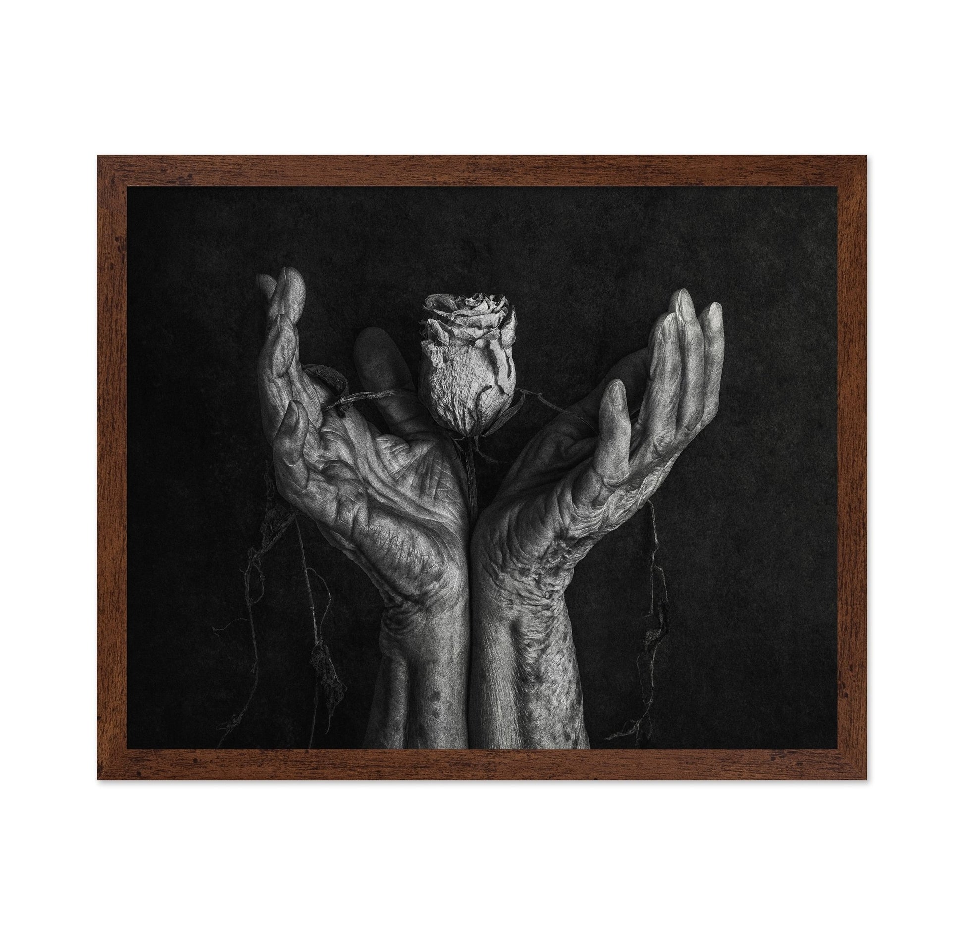 Aged Hands With Rose
