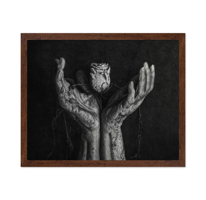 Aged Hands With Rose
