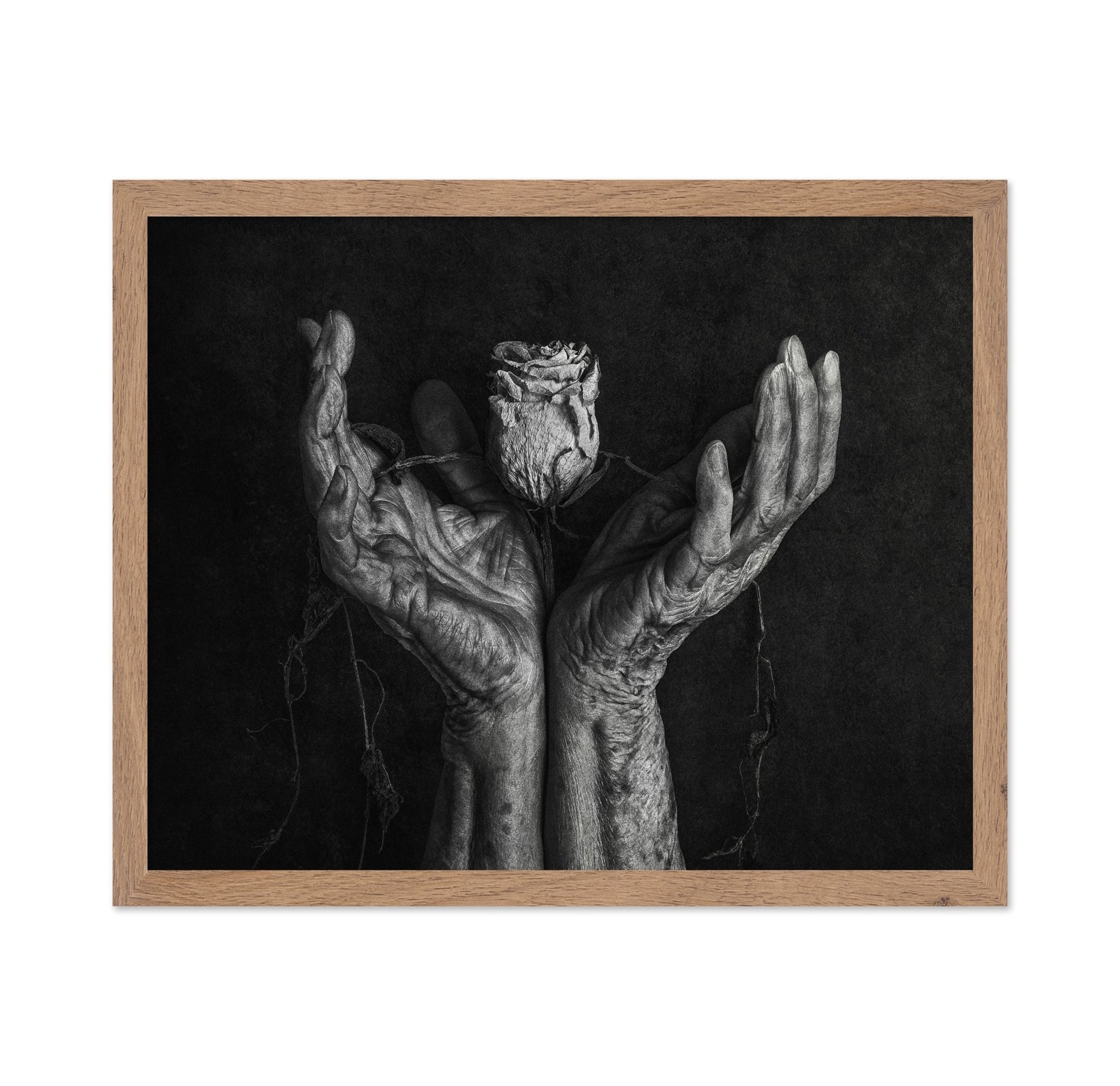 Aged Hands With Rose