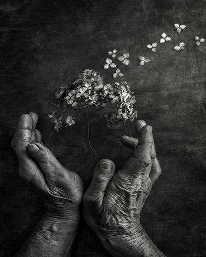 Gentle Bloom Release