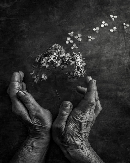 Gentle Bloom Release
