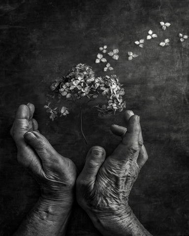 Gentle Bloom Release