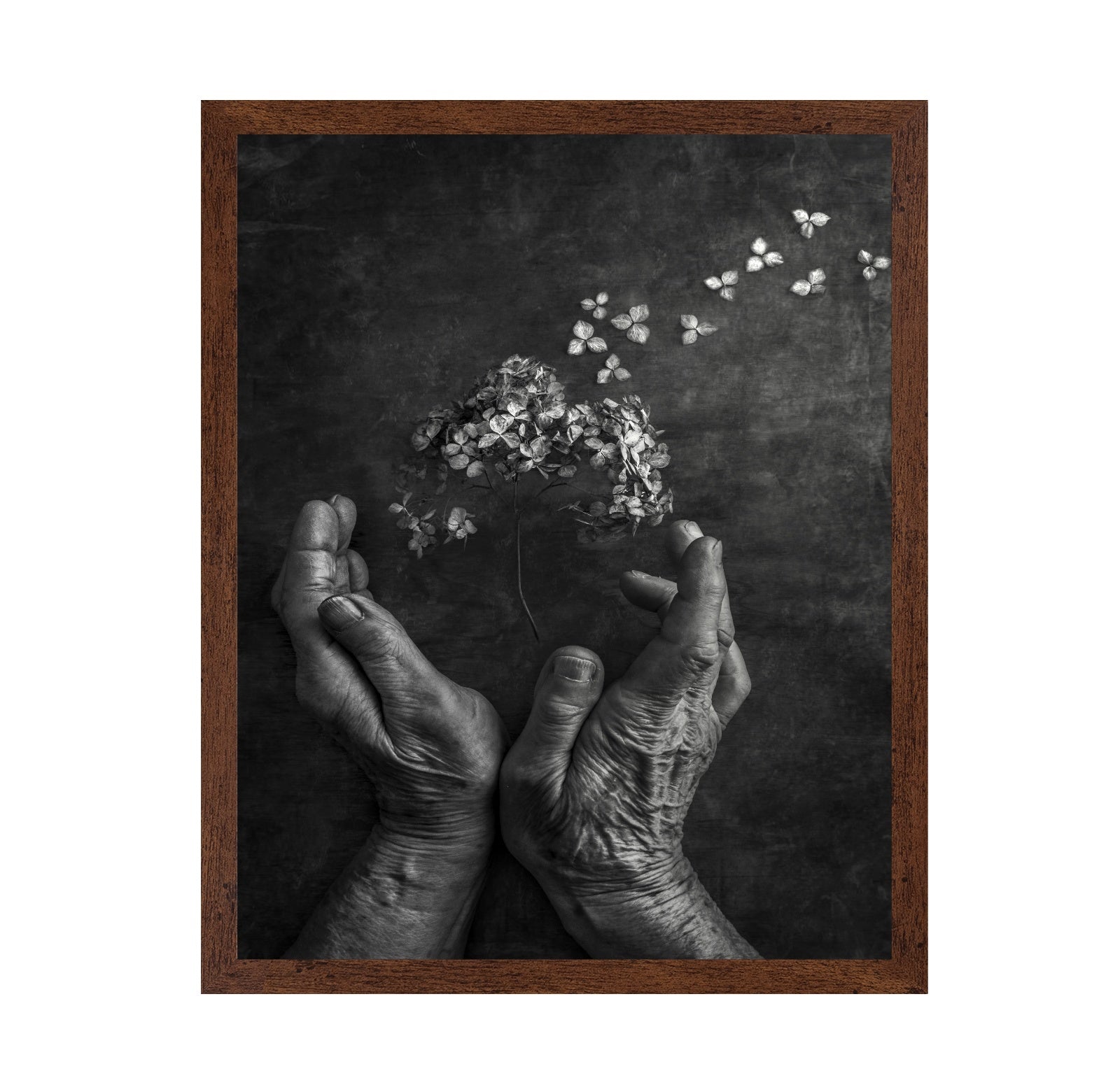 Gentle Bloom Release