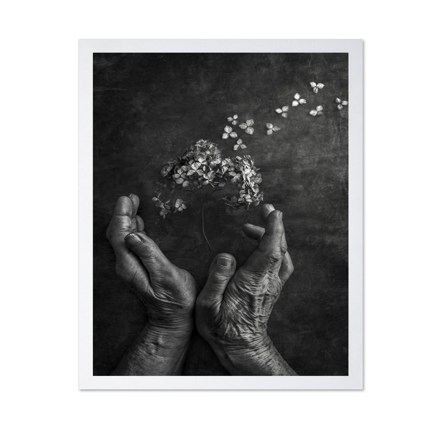 Gentle Bloom Release