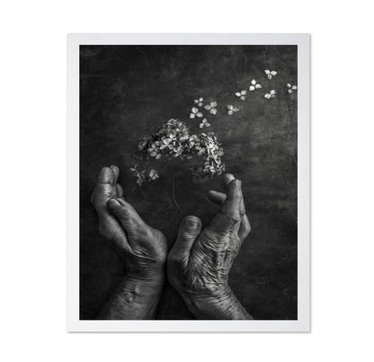 Gentle Bloom Release