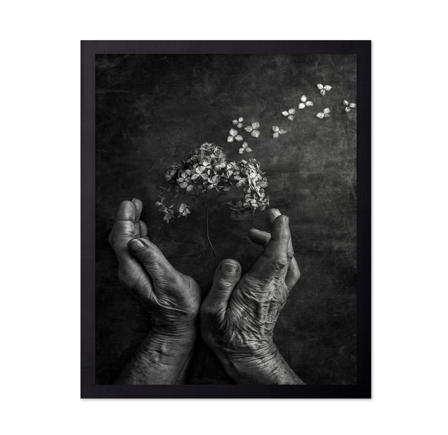 Gentle Bloom Release