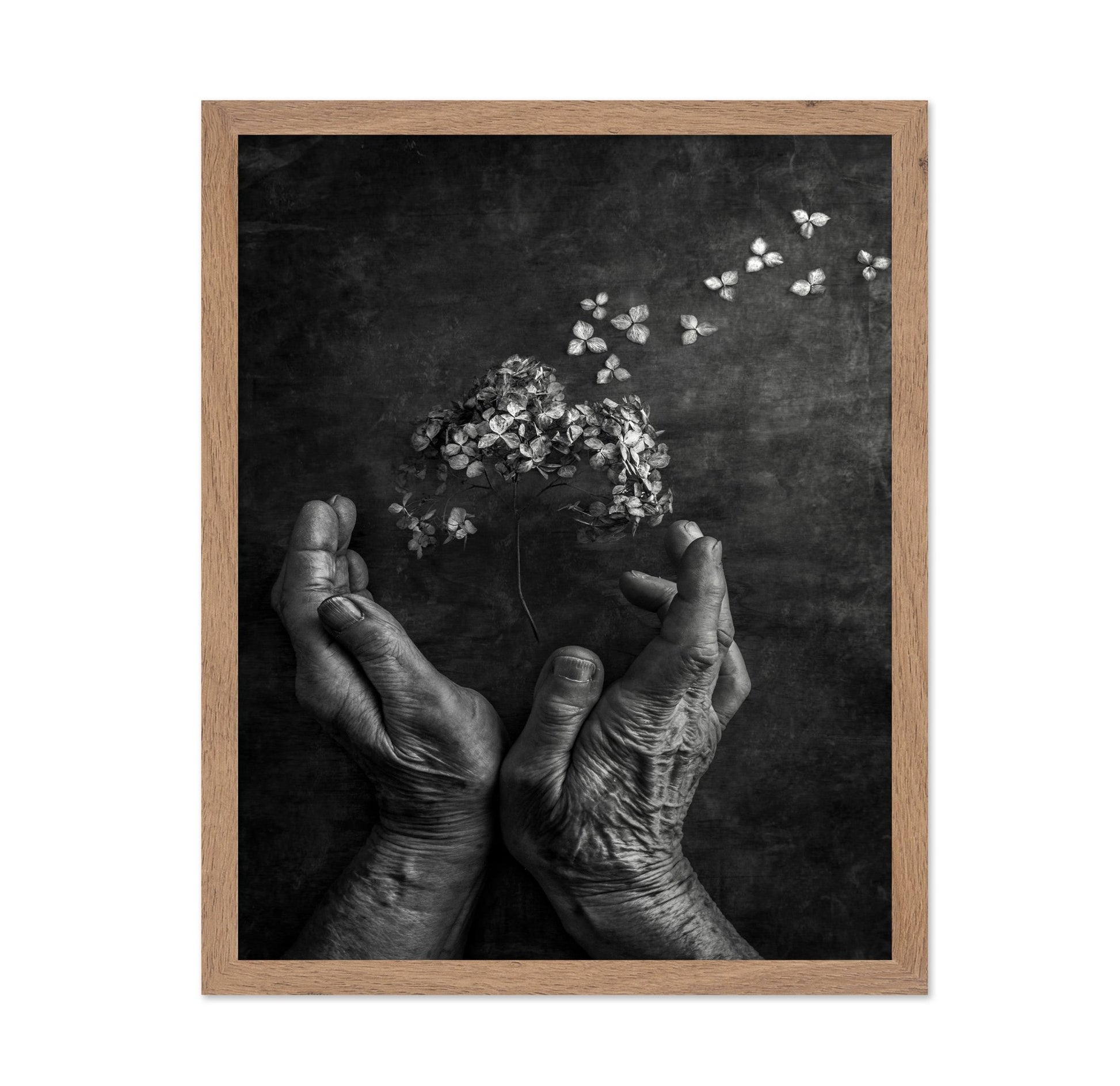 Gentle Bloom Release