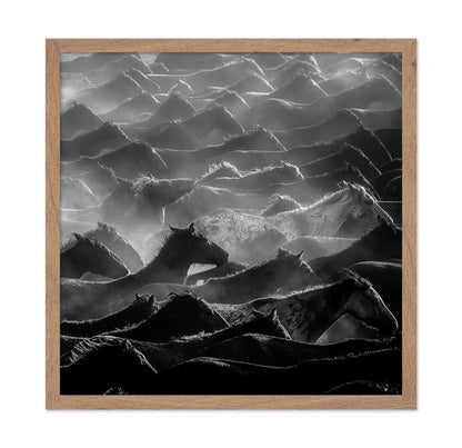 Wild Herd Layers