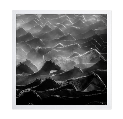 Wild Herd Layers