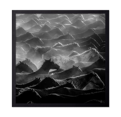 Wild Herd Layers