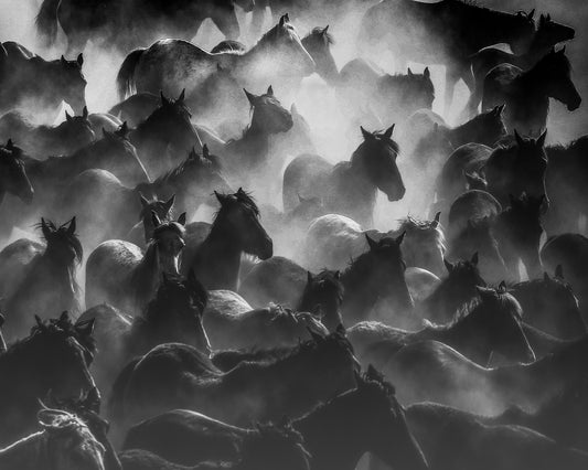 Wild Herd Mist
