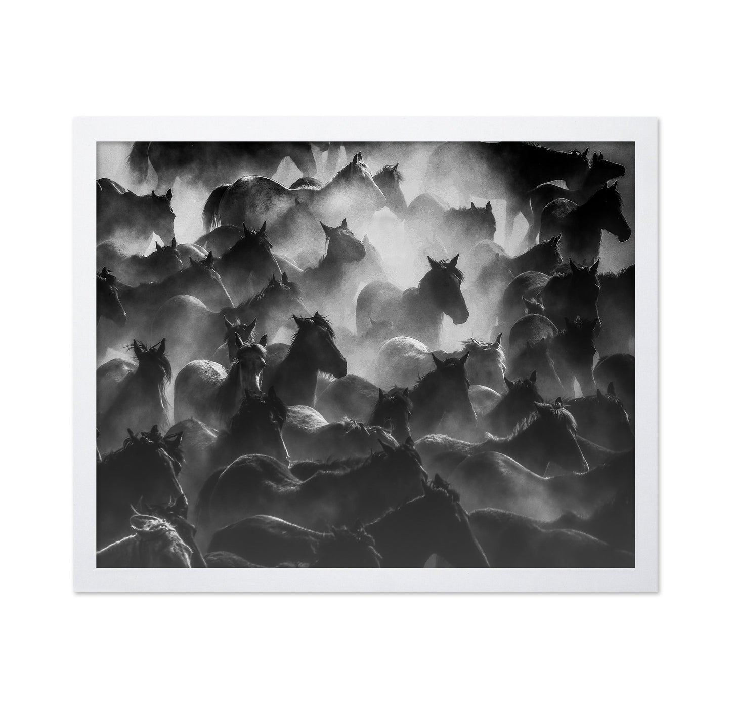 Wild Herd Mist