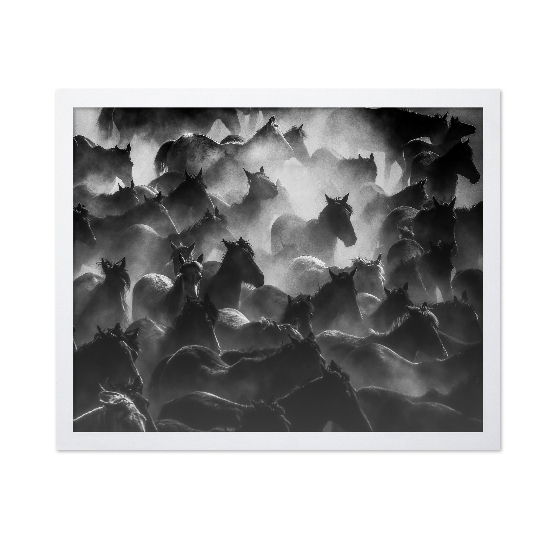 Wild Herd Mist