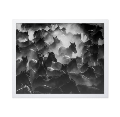 Wild Herd Mist