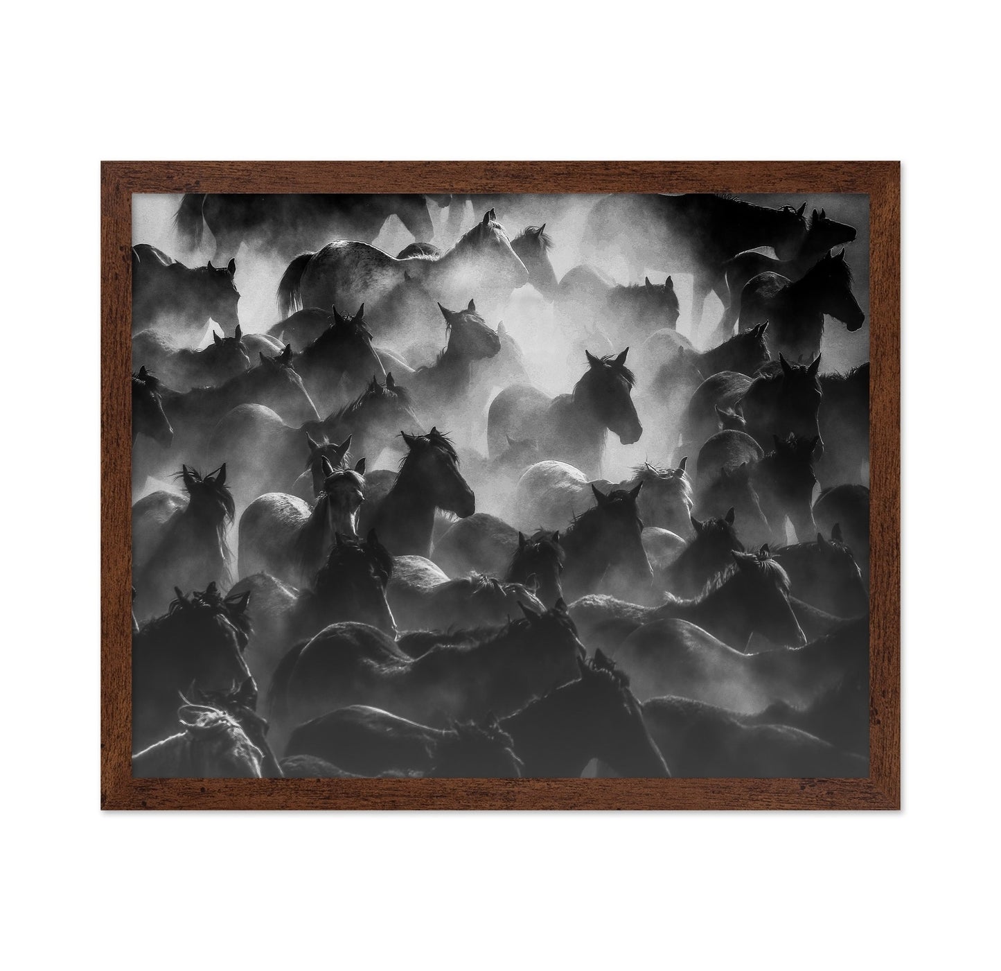 Wild Herd Mist