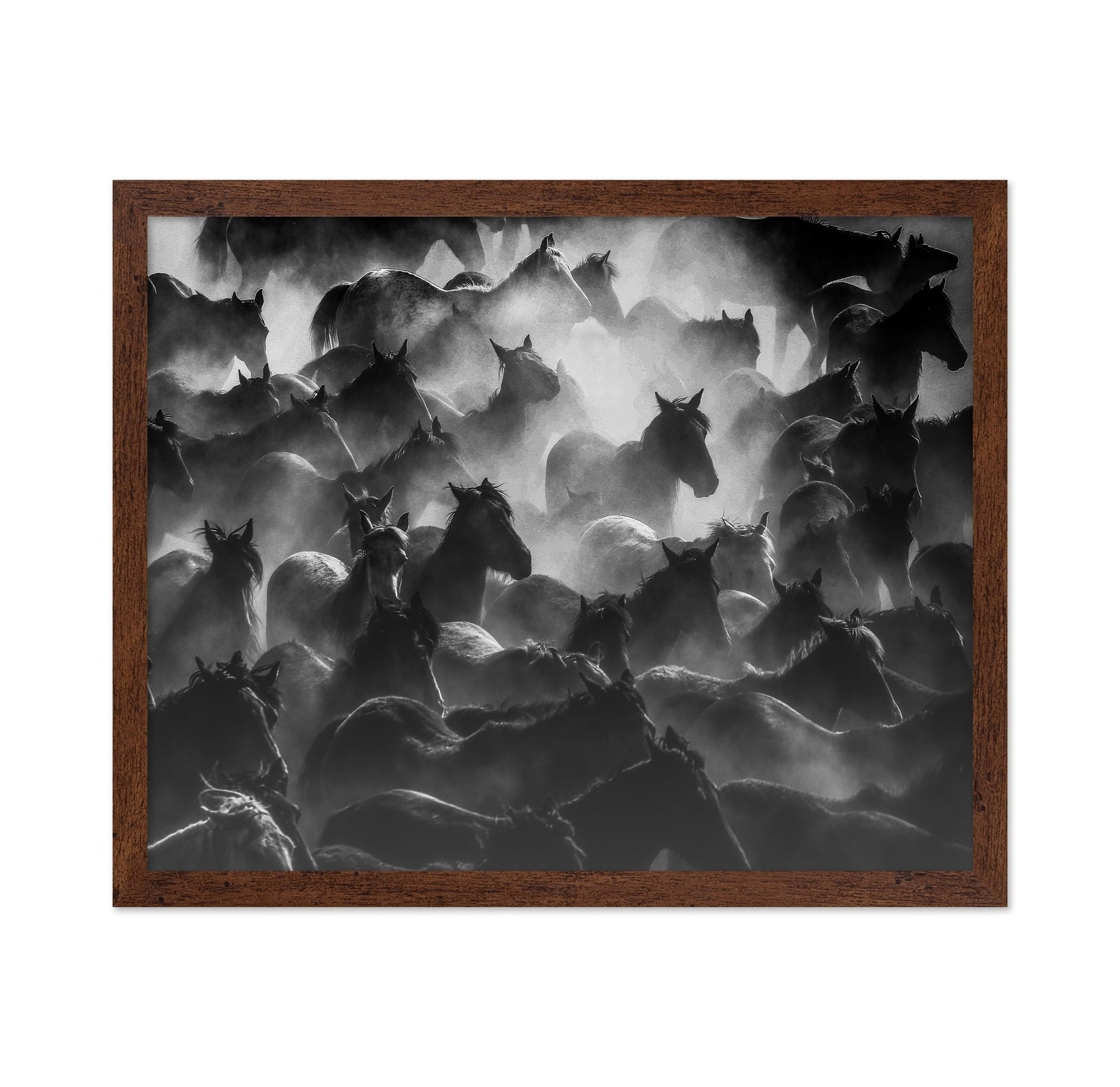 Wild Herd Mist