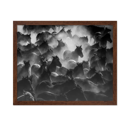 Wild Herd Mist